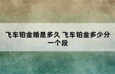 飞车铂金婚是多久 飞车铂金多少分一个段